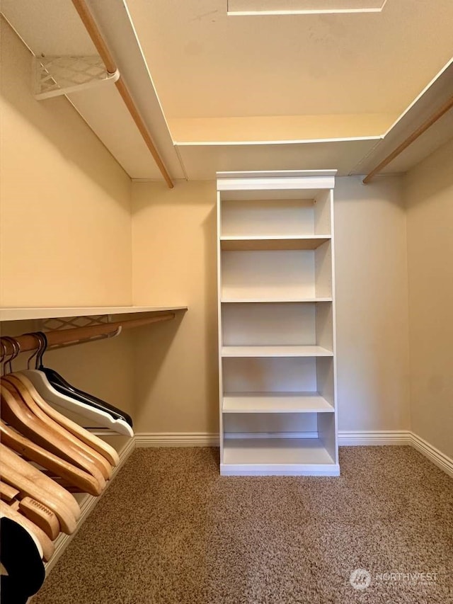 spacious closet with carpet flooring