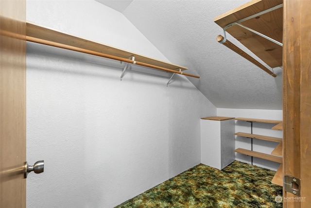 spacious closet with lofted ceiling