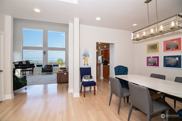 dining room with light hardwood / wood-style floors