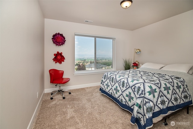 bedroom with carpet floors