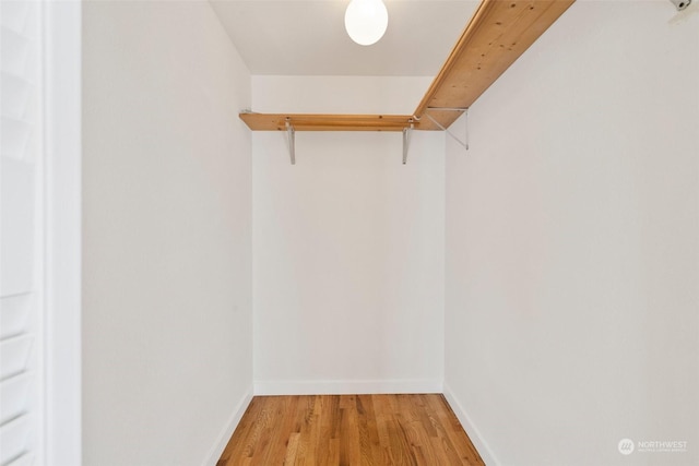 walk in closet featuring light wood-type flooring