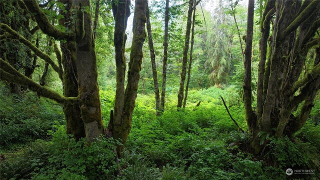 350 Reller Rd, Shelton, WA 98584 - photo 4