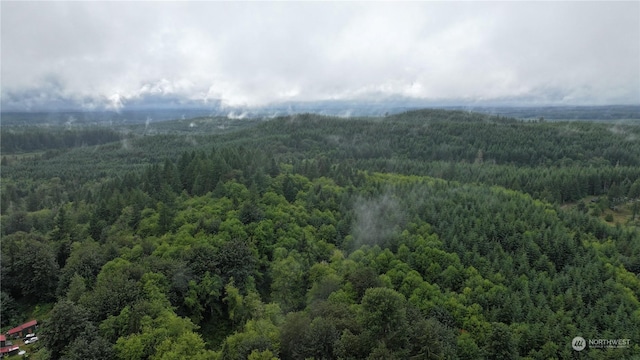 350 Reller Rd, Shelton, WA 98584 - photo 9