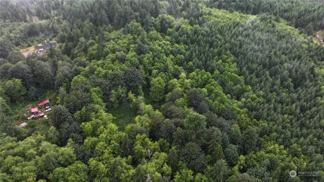 350 Reller Rd, Shelton, WA 98584 - photo 10