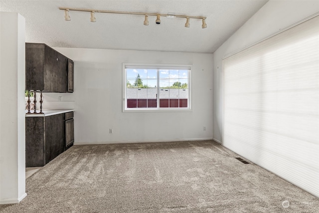 interior space featuring lofted ceiling, a textured ceiling, and light colored carpet