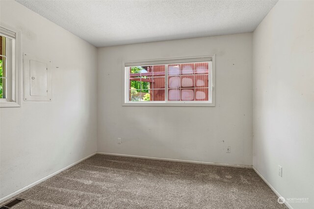 carpeted spare room with electric panel and a textured ceiling