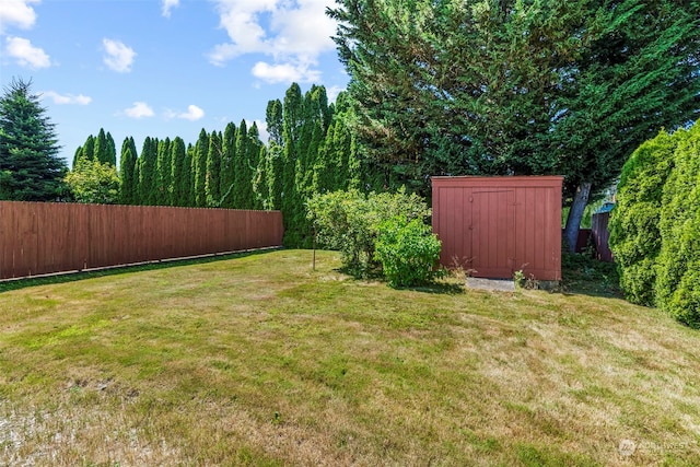 view of yard with a storage shed