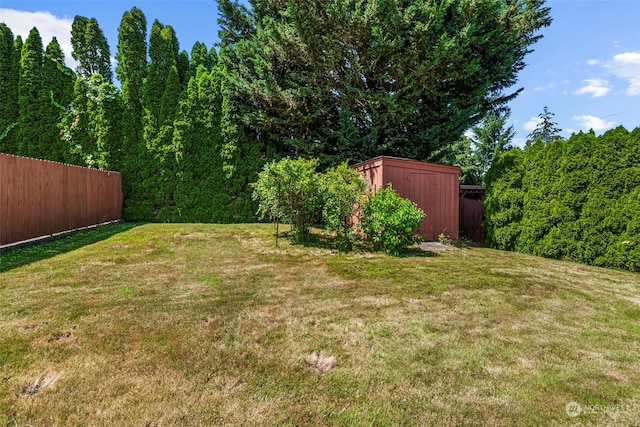 view of yard with a storage shed