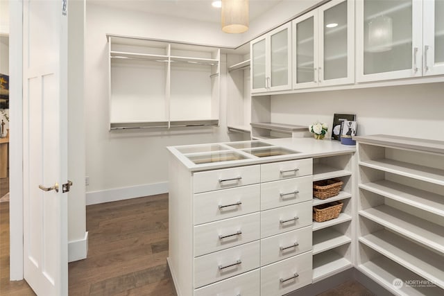 spacious closet with dark hardwood / wood-style flooring