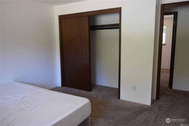 unfurnished bedroom featuring a closet and carpet flooring