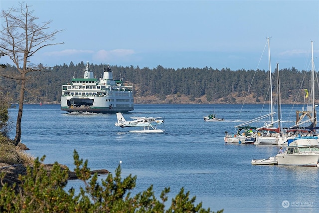 470 Friday Ave, Friday Harbor, WA 98250 - water view with a wooded view