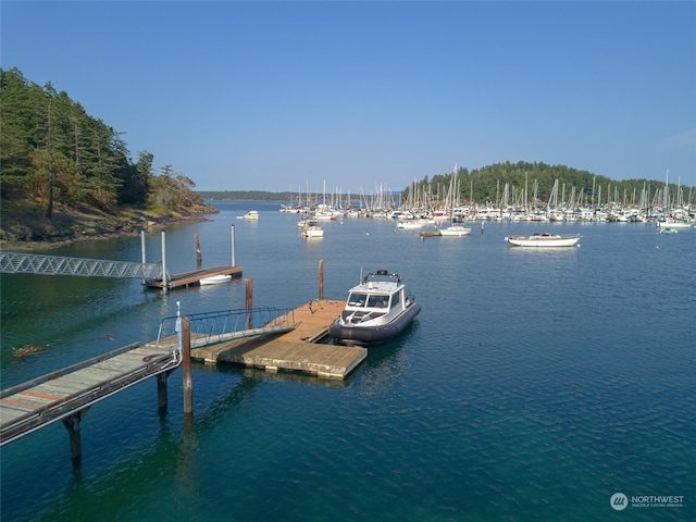 view of dock with a water view