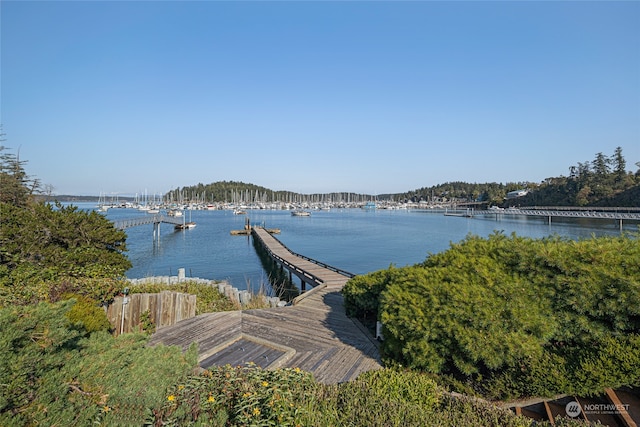 water view featuring a dock