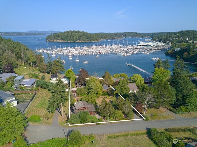 bird's eye view with a water view