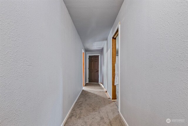 684 Maple St, Hamilton, WA 98255 - photo 19