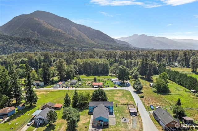 684 Maple St, Hamilton, WA 98255 - photo 1