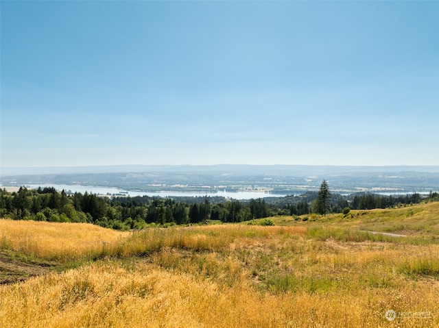 0 Green Mountain Rd, Kalama WA, 98674 land for sale