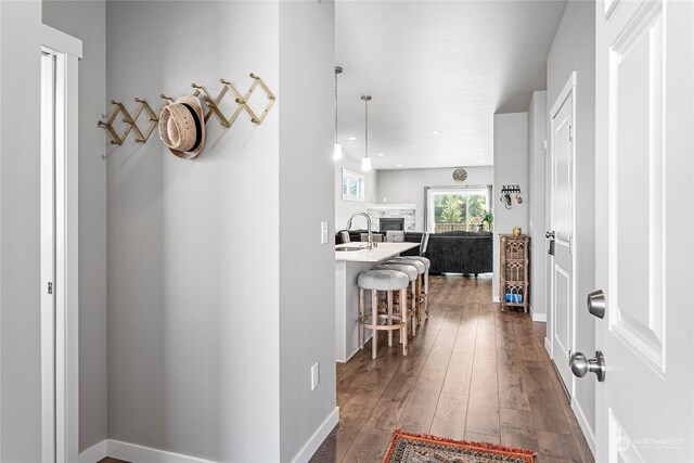 hall featuring sink and hardwood / wood-style flooring