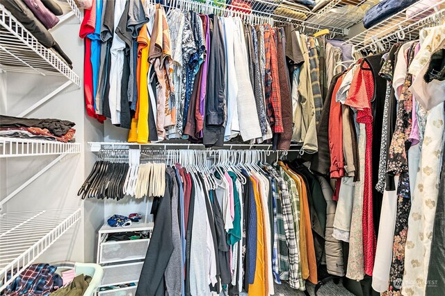 spacious closet featuring carpet floors