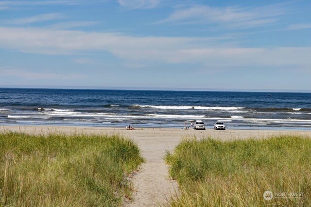 water view with a view of the beach