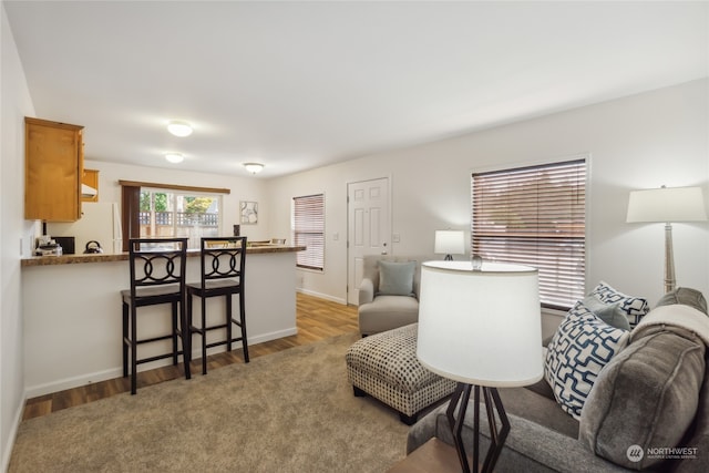 living area with baseboards and wood finished floors