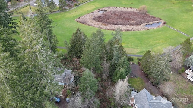 281 E Rd Of Tralee, Shelton, WA 98584 - photo 23