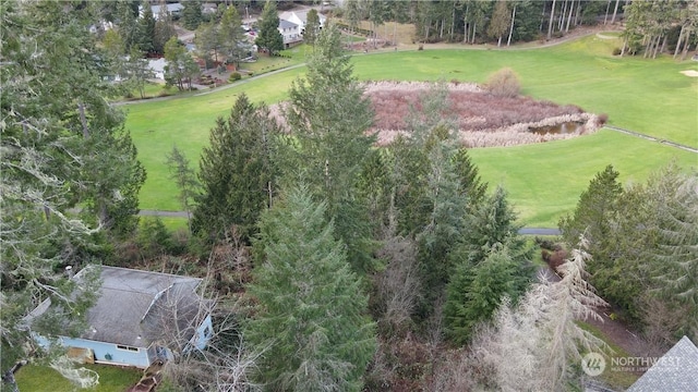 281 E Rd Of Tralee, Shelton, WA 98584 - photo 24