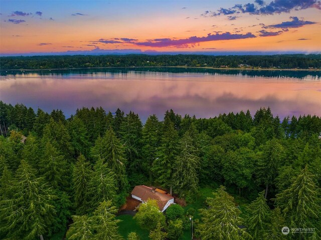 aerial view at dusk featuring a water view