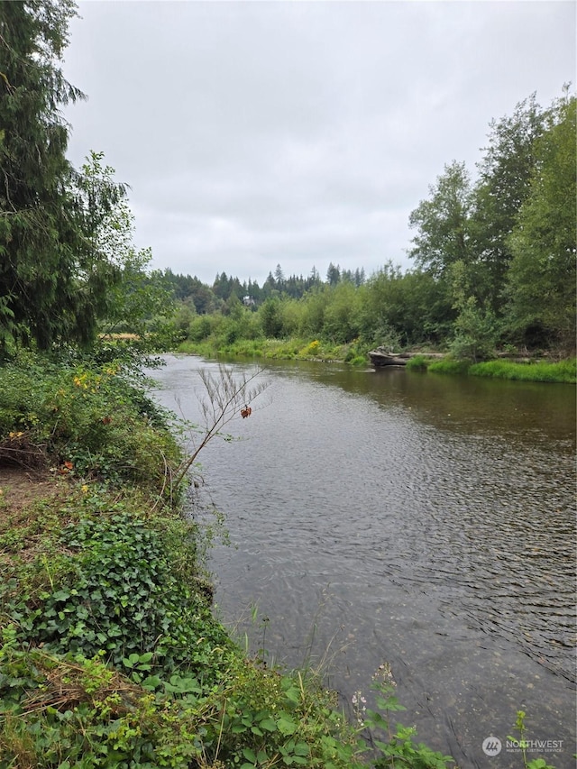 water view with a forest view