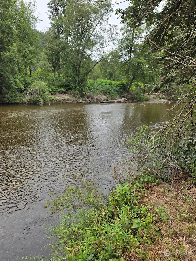 view of water feature with a wooded view