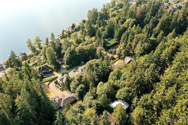 10XX 206th Ave NE, Sammamish, WA 98074 - photo 13