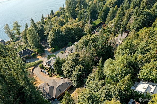 10XX 206th Ave NE, Sammamish, WA 98074 - photo 14