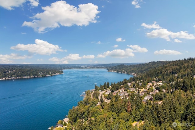 10XX 206th Ave NE, Sammamish, WA 98074 - photo 15