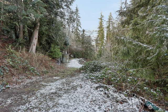 10XX 206th Ave NE, Sammamish, WA 98074 - photo 4