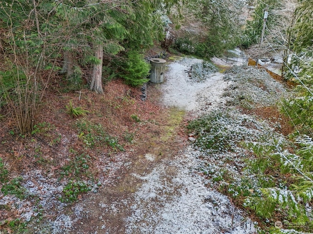10XX 206th Ave NE, Sammamish, WA 98074 - photo 5