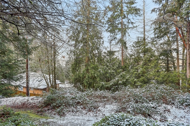 10XX 206th Ave NE, Sammamish, WA 98074 - photo 6