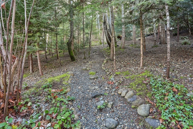 10XX 206th Ave NE, Sammamish, WA 98074 - photo 8