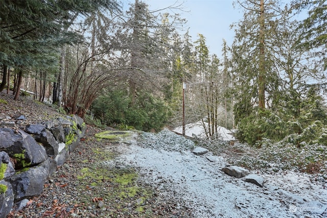10XX 206th Ave NE, Sammamish, WA 98074 - photo 9