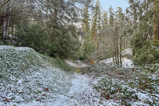 10XX 206th Ave NE, Sammamish, WA 98074 - photo 10