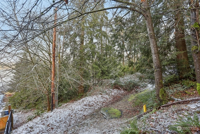 10XX 206th Ave NE, Sammamish, WA 98074 - photo 11