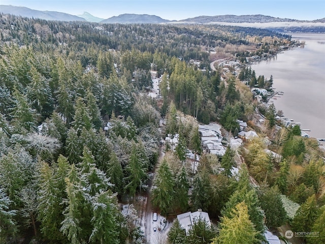 10XX 206th Ave NE, Sammamish, WA 98074 - photo 12
