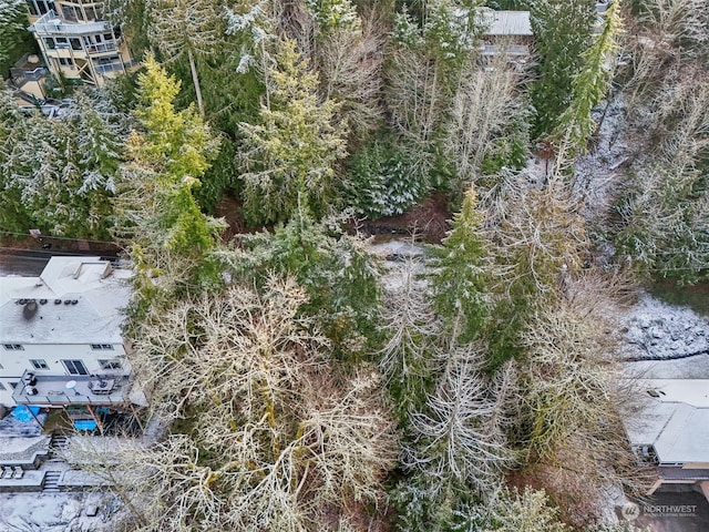 10XX 206th Ave NE, Sammamish, WA 98074 - photo 18