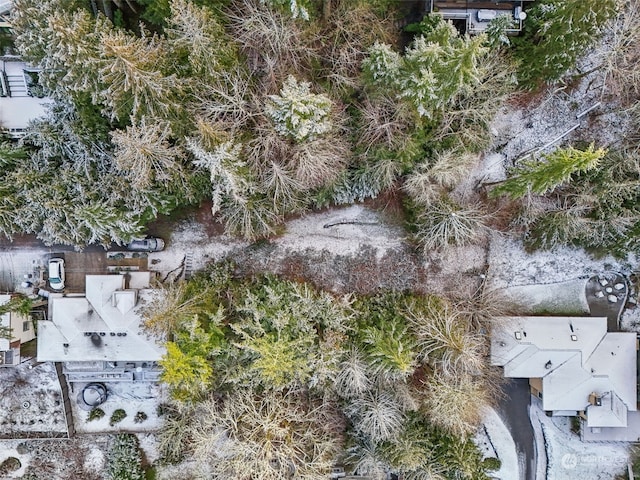 10XX 206th Ave NE, Sammamish, WA 98074 - photo 19