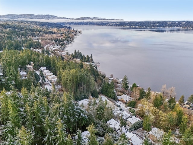 10XX 206th Ave NE, Sammamish, WA 98074 - photo 20