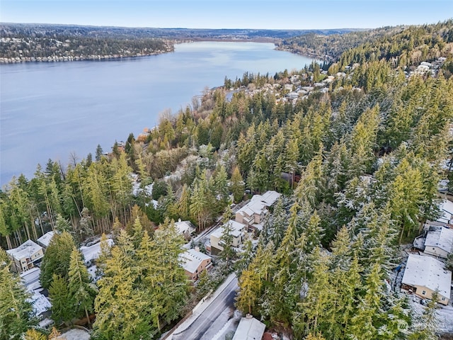 10XX 206th Ave NE, Sammamish, WA 98074 - photo 21