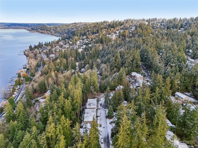 10XX 206th Ave NE, Sammamish, WA 98074 - photo 23