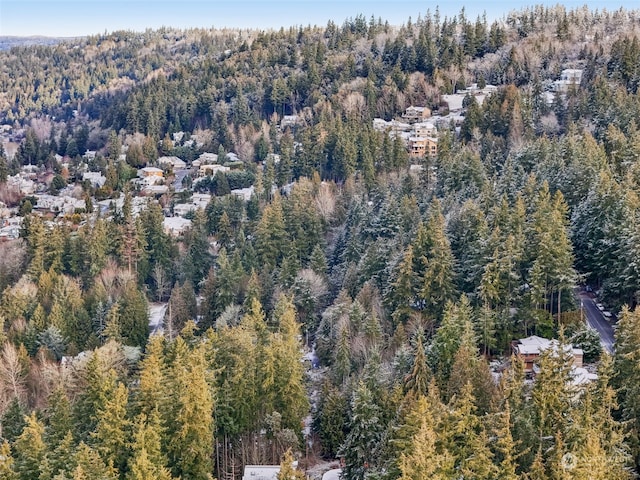 10XX 206th Ave NE, Sammamish, WA 98074 - photo 24
