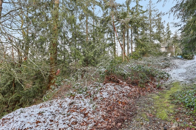 10XX 206th Ave NE, Sammamish, WA 98074 - photo 25