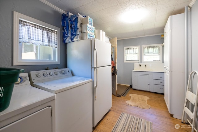 washroom featuring crown molding, washing machine and clothes dryer, and light hardwood / wood-style floors