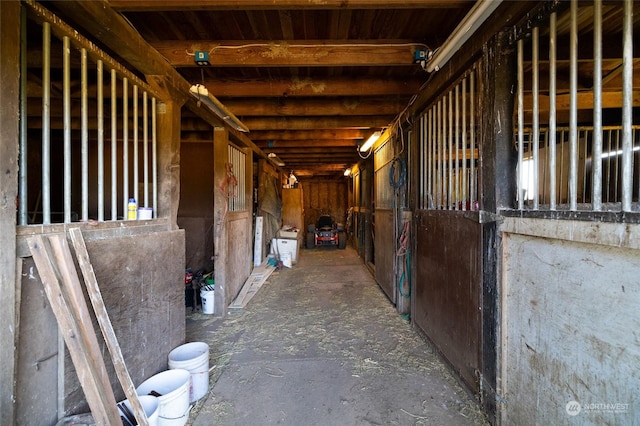 view of horse barn